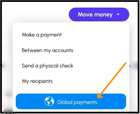 Make a payment from Viably Global via the Global Payments button.