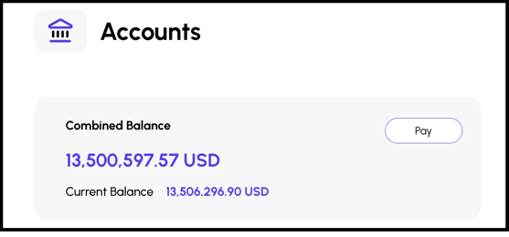 Make a payment from your Viably Global Account via the Accounts Dashboard.